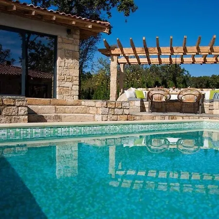 Dolce - Vintage Varna